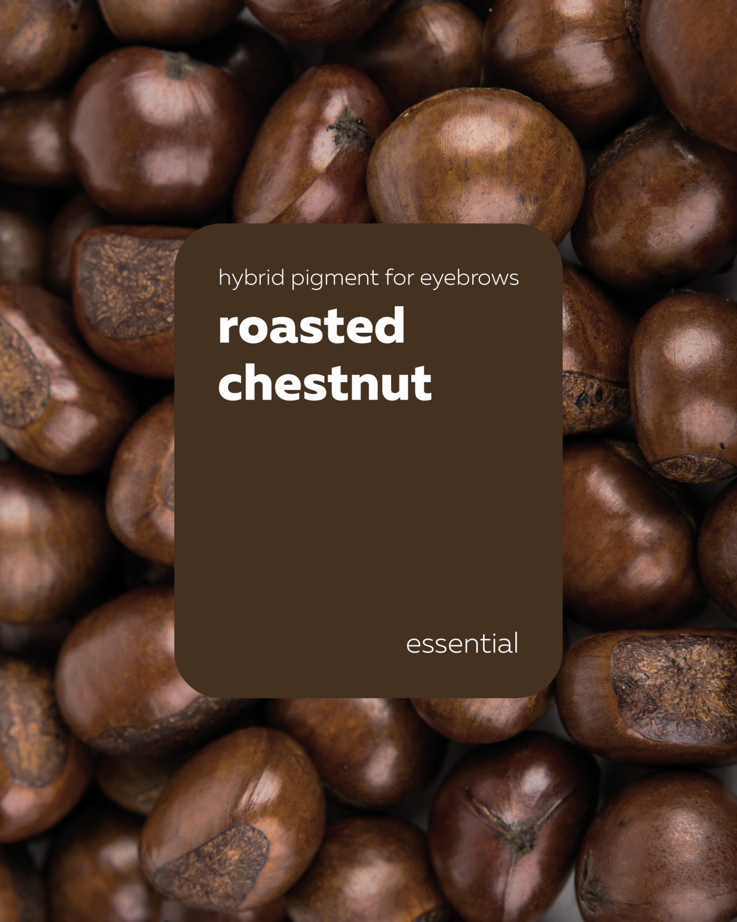 BROVI წარბის პიგმენტი roasted chestnut